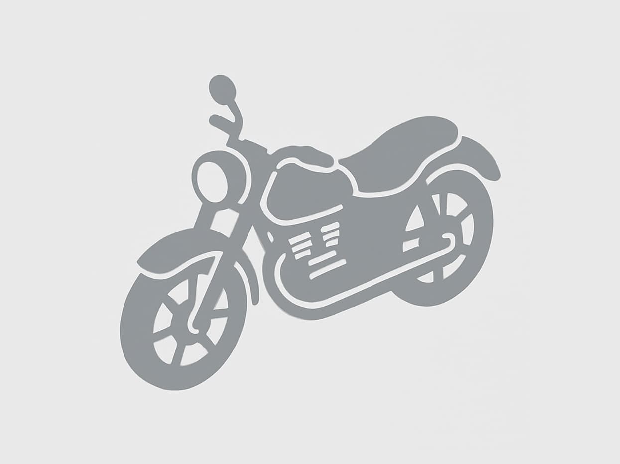  HARLEY-DAVIDSON FL 2021 Бордовый