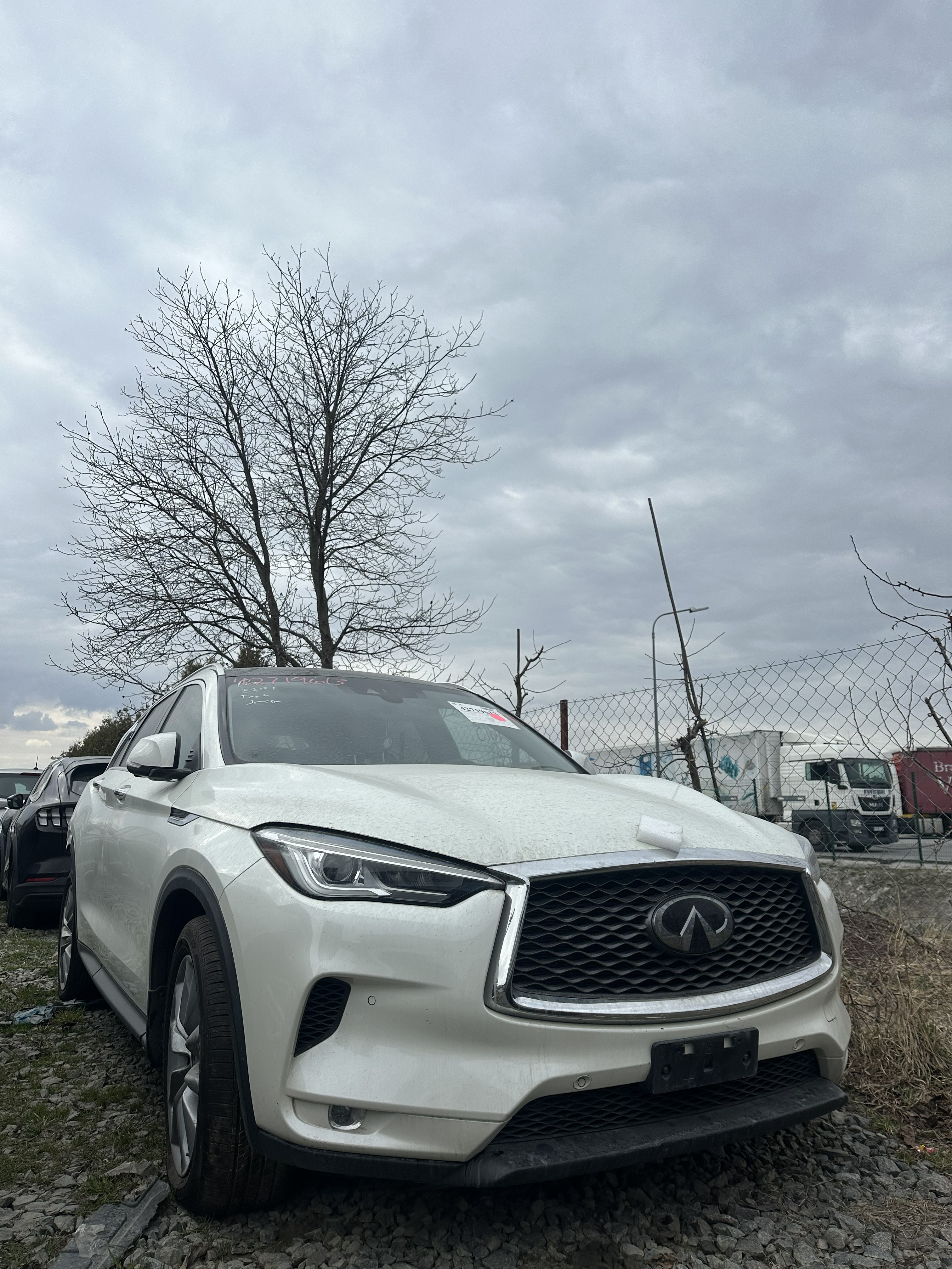 Позашляховики INFINITI QX50 ESSENTIAL 2021 Білий