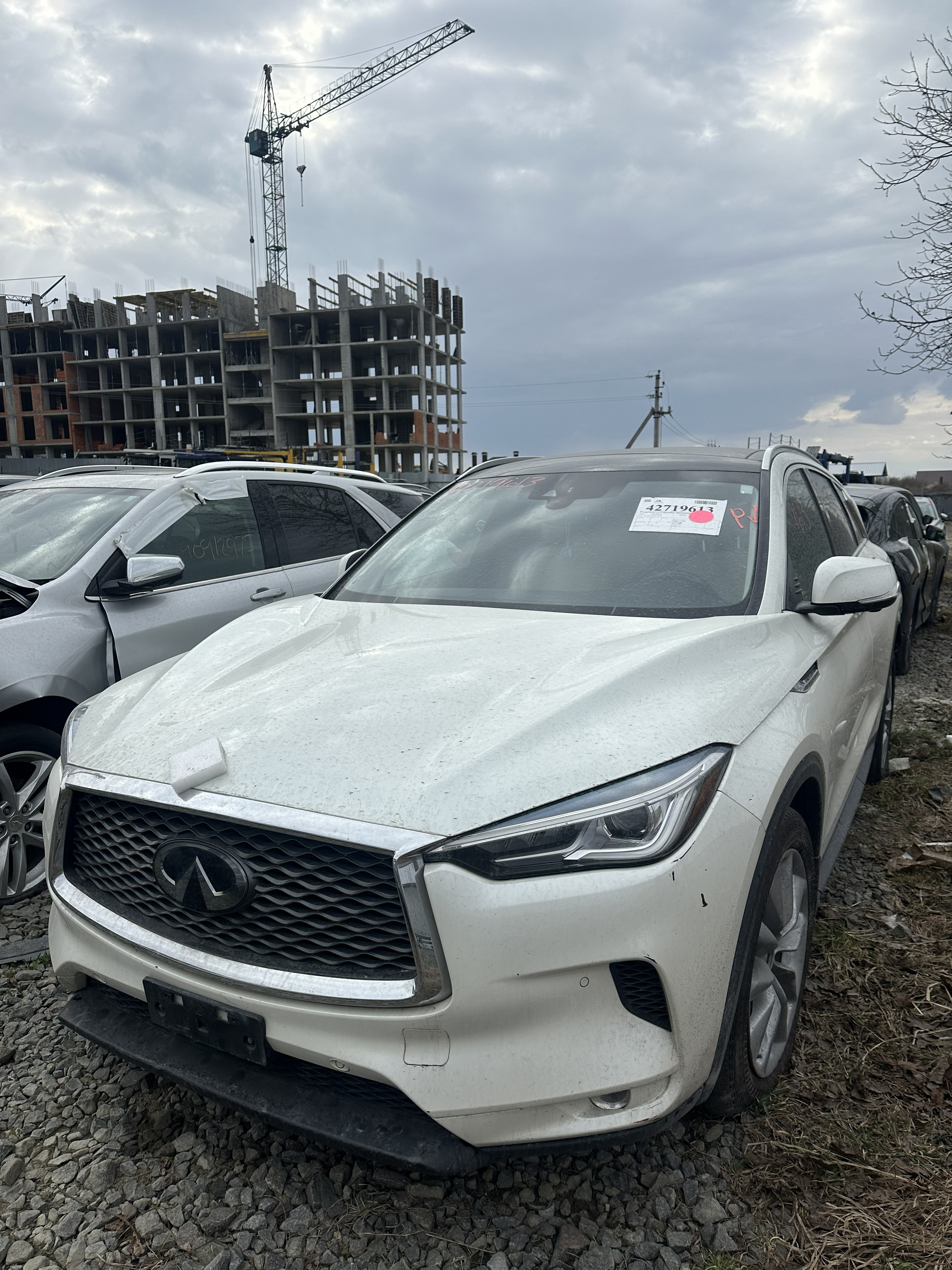 Позашляховики INFINITI QX50 ESSENTIAL 2021 Білий