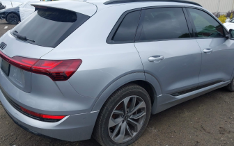 Внедорожники Audi  E-TRON PREMIUM PLUS 2020 Серебристый